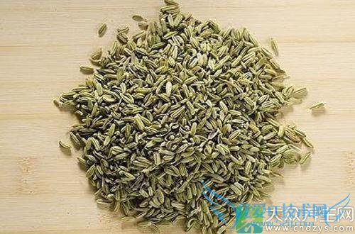 ʮһ����ʳ�̲��ѳ��ٽ�����(1)