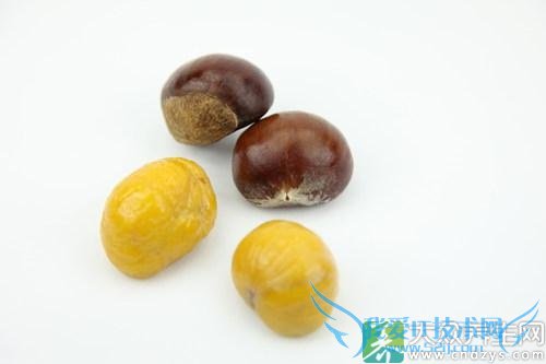 Ƥ�������ܳ�������