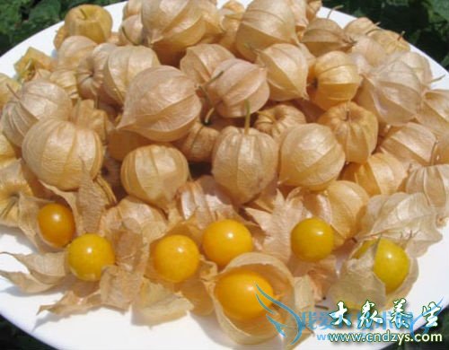 �и��ܳԹ������