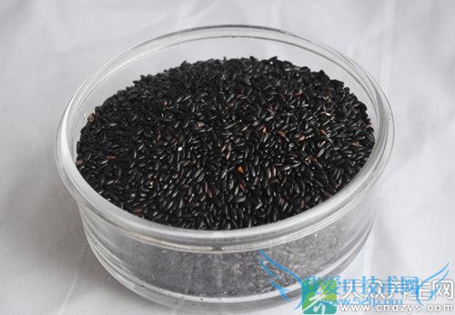 Ƥ�������ܳԺ�����