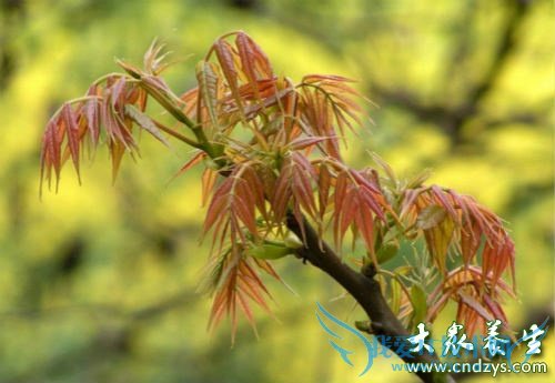 �и����Գ��㴻ѿ��