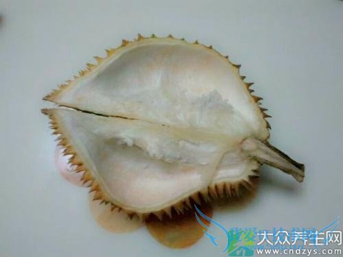 �����ܳ��������� 