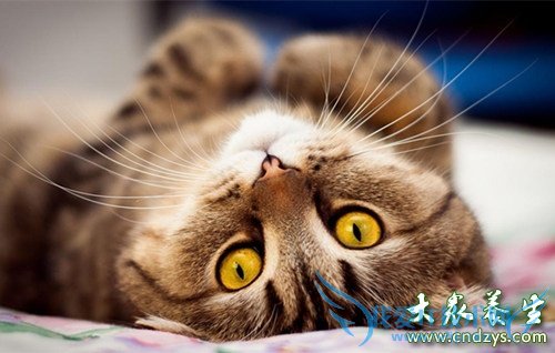 �������������ǻ���(2)