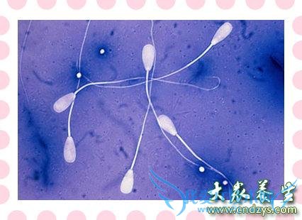 ��������β�����(2)