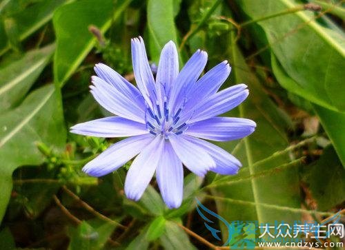  �������ܳԾ����� 