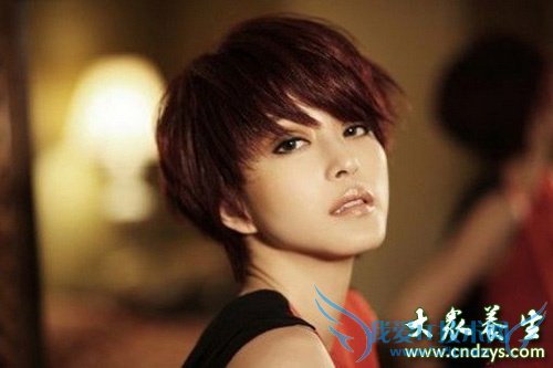 �ҿ�������Ѫ��������(2)