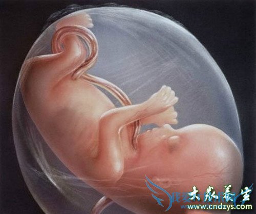 ���Ѫ�б�Ҫ������