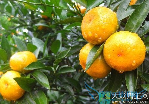 �������ܳԸ�����