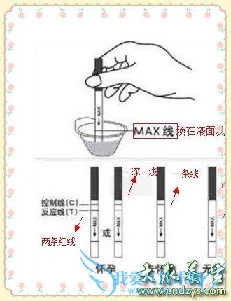 ������ֽ��׼ȷ���ж��(2)