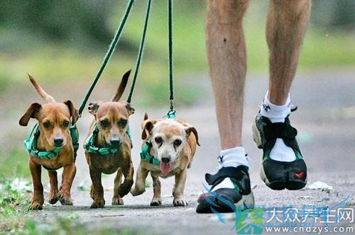 5����·���Ʊ�ɴ�����(4)