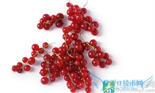 �и��ܳԴ�����