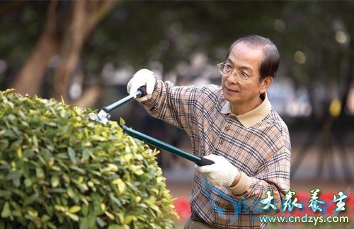 ���������ٰ���֢״  