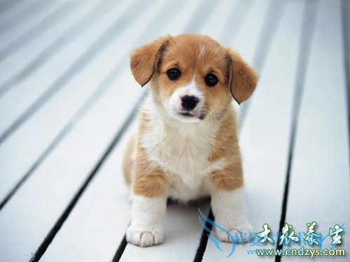 ����ǰ���ĳ���ϰ��(1)