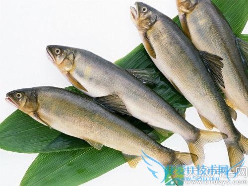 �����ܳ�������