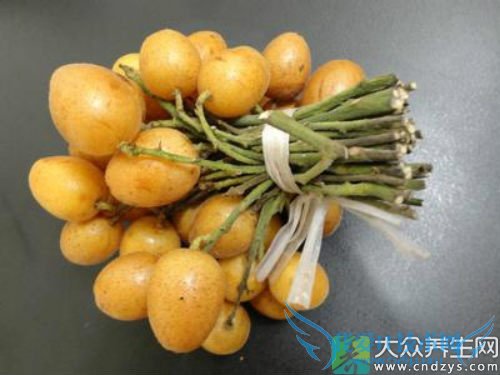 С�����ܳԻ�Ƥ����