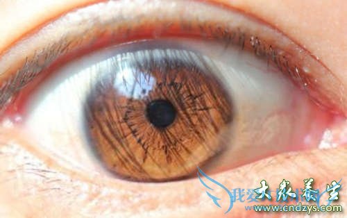 �۾��лư�����ô����