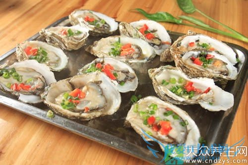 ��Ѫѹ�ܳ������