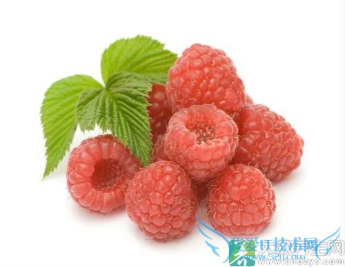 ��ͯ�ܳԸ������� 