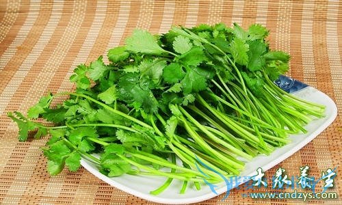 �������ܳ������