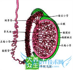 ��غ��Ԥ��С��ʶ����غ�׻������������Ԥ������?(1)