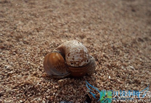 �������ܳ�������