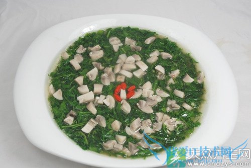 �����ܳ�������