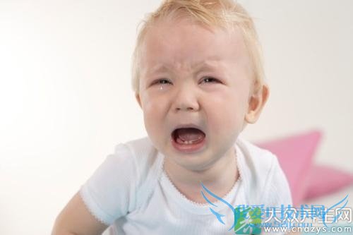 С������������Ȫ