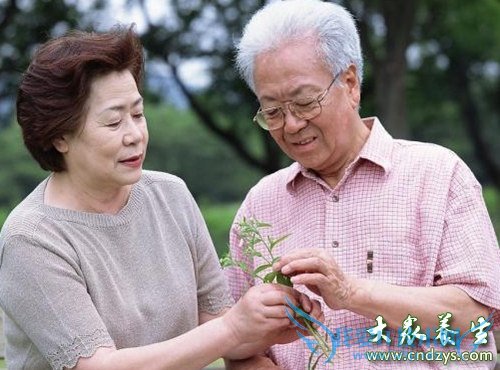 ��Ѫѹ���ճ�ע������(5)