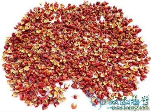 �������ܳԻ�����