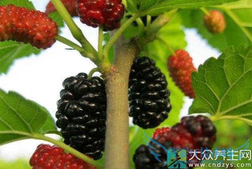 �����ܳ�ɣ���