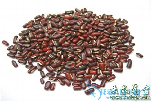 ����ҹ������Ӧ��ʲô��(5)