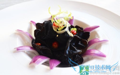 Ƥ�������ܳ��ƶ���  