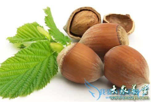 ���Ա����˴�ʳ��(5)