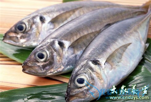 ���Ա����˴�ʳ��(3)