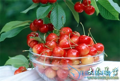 ���Ա����˴�ʳ��(8)