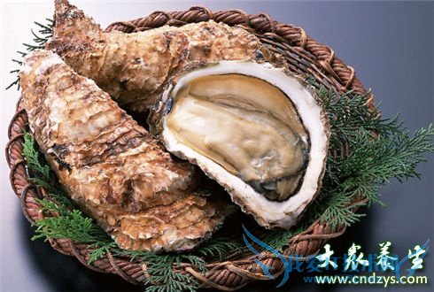 ���Ա����˴�ʳ��(1)