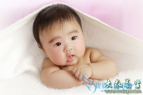 ��������ʪ����