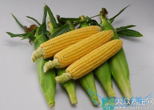 �Ͳ�+���� ���˳�����ʳ��Ѵ���