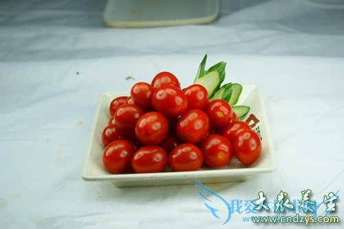 �������ܳ�ʥŮ����