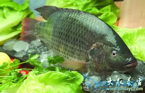 ��ĸ��֪����7���㲻�ܸ����ӳ�(2)