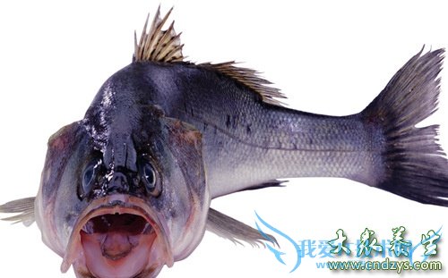 ��ĸ��֪����7���㲻�ܸ����ӳ�(1)