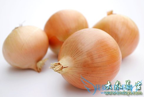 ����ʳ�����������ı뺷(5)