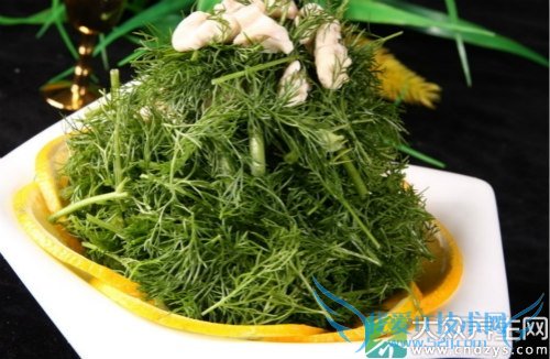 ��Ѫѹ�ܳ�������