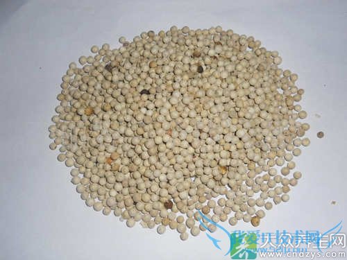 �������ܳ԰׺�����