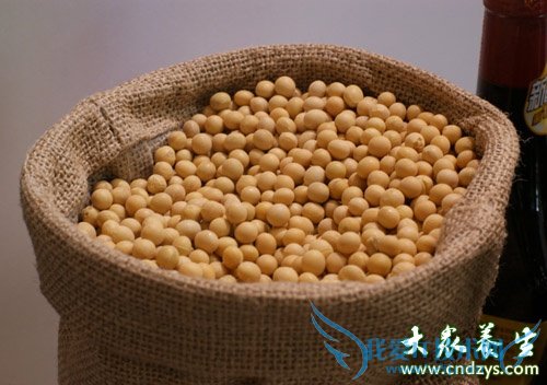 ����Խ��Խ�����ʳ��(4)