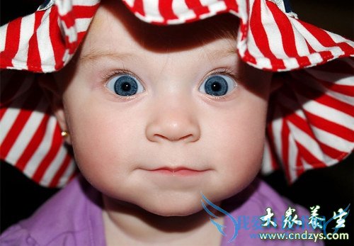 ����Ӫ������