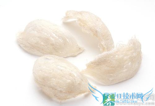 �����ܳ�������