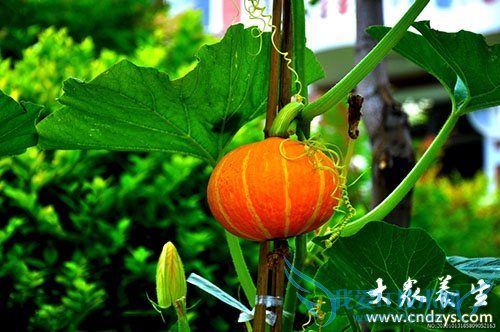 ���������ʳ�� ��������ά����(3)