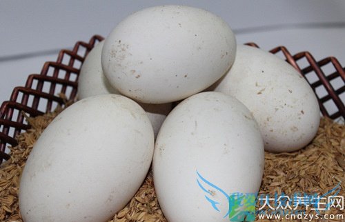 �����ܳԶ쵰��