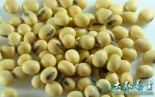 ����ʳ��������ǿʢ��˥(2)